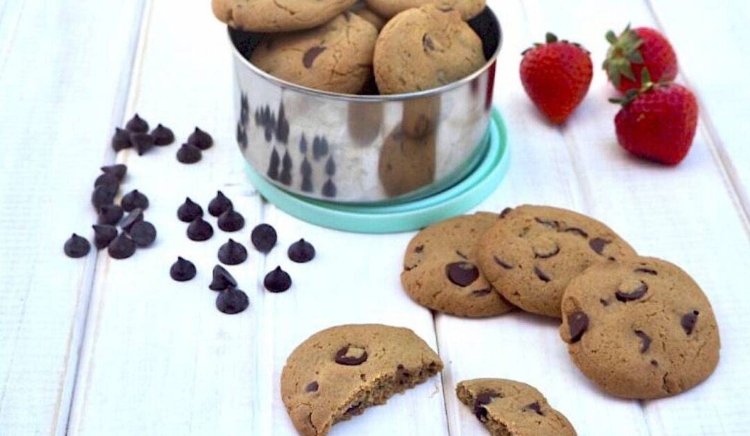 Chocolate Chip Cookies (Nut-Free) – Paleo Friendly Recipe