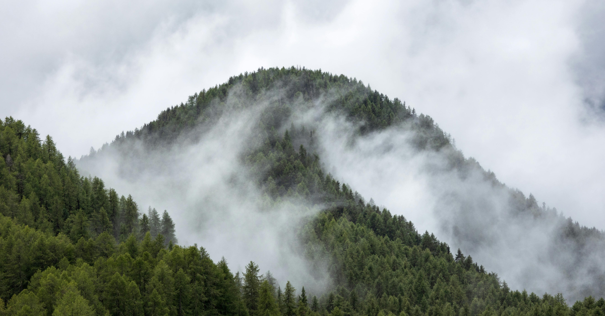 Nature Lovers Across Australia Share Their ‘Love Letters to Nature’ in 60th Anniversary Celebration